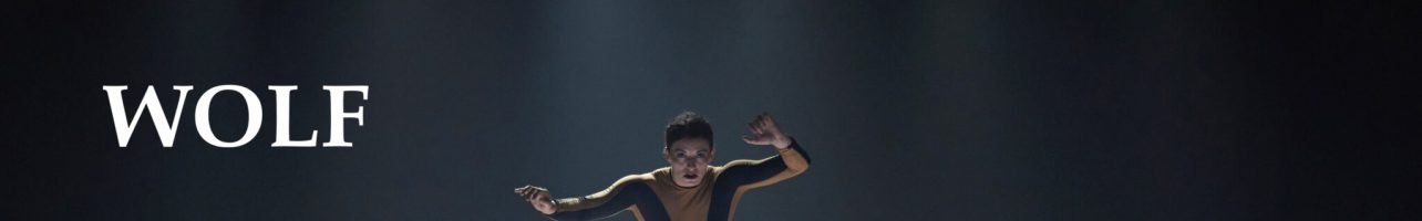 Wolf au théâtre Silvia Monfort
